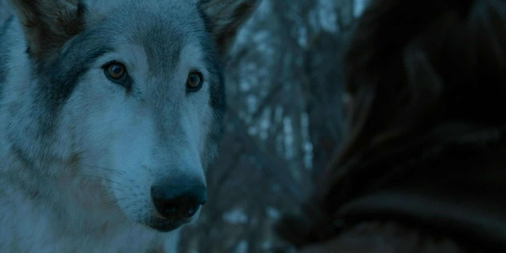 Game of Thrones Season 7 Arya Nymeria