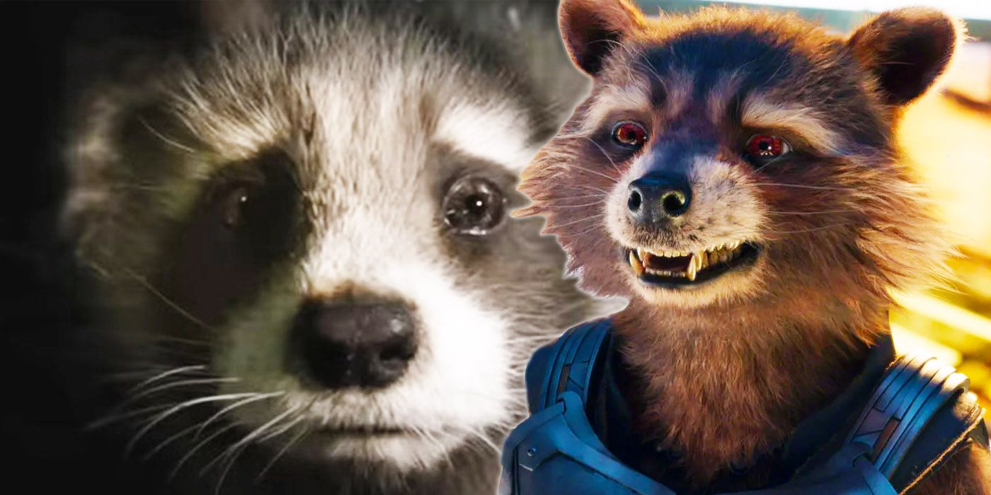 Guardians of the Galaxy 3 Rocket Raccoon