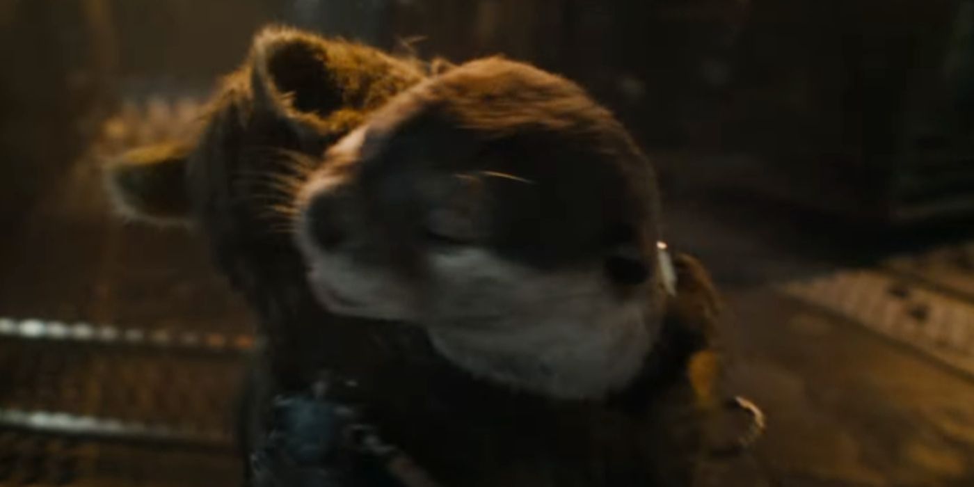 Guardians of the Galaxy Vol 3 Rocket and Lylla