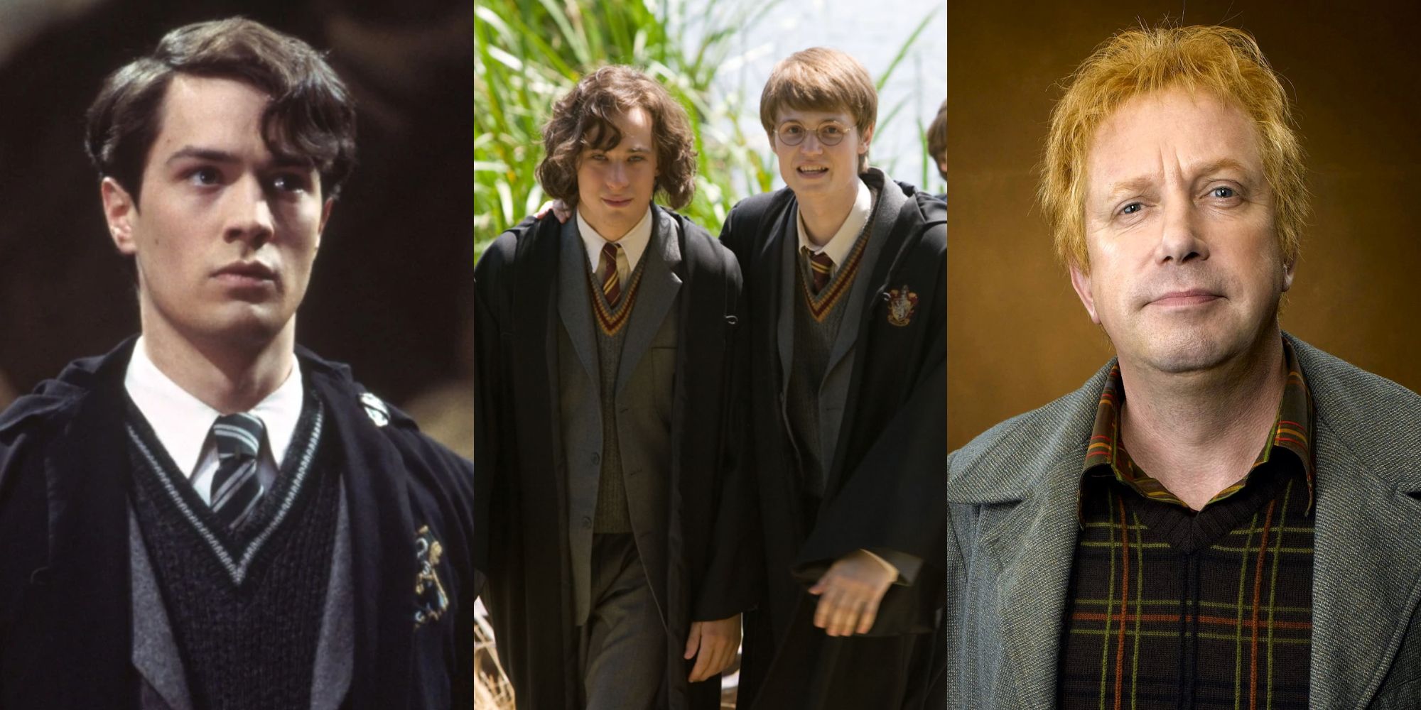 10 Ideas For A Harry Potter TV Show, According To Reddit