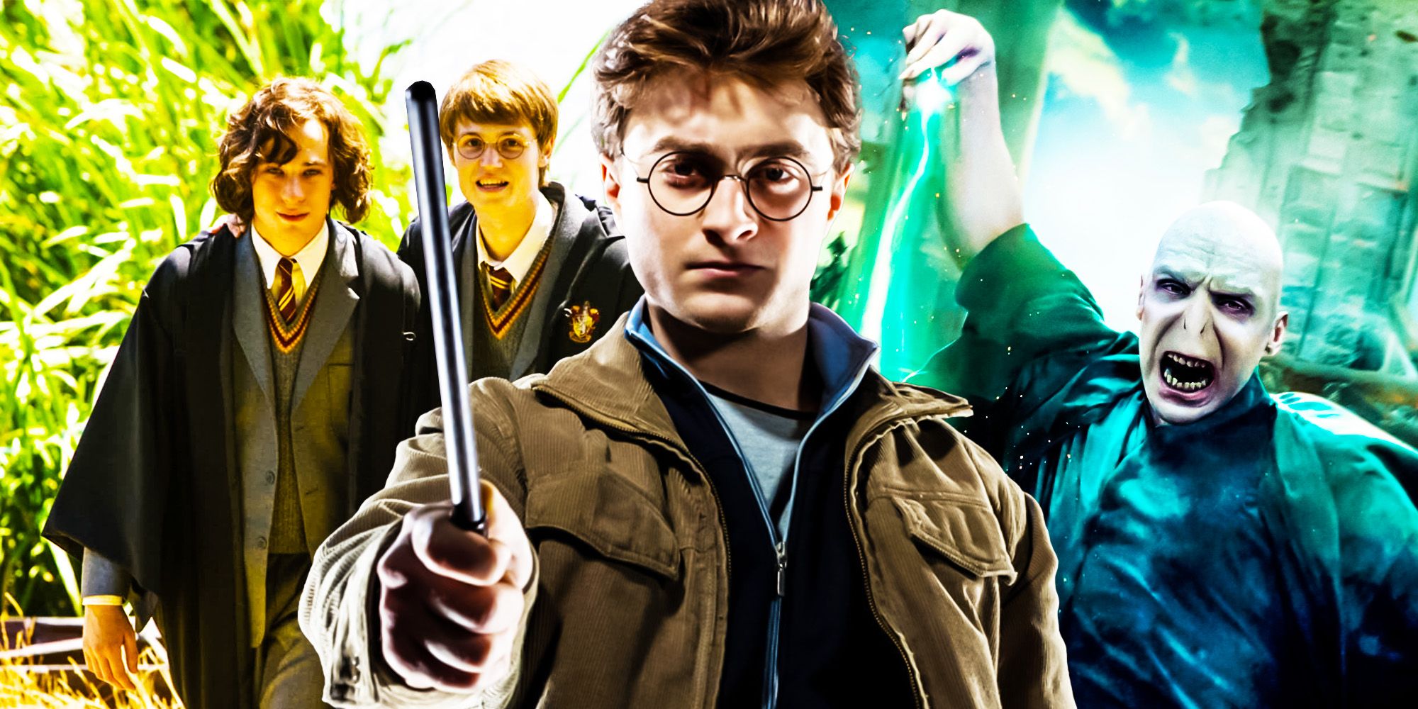 Harry potter Voldemort young marauders