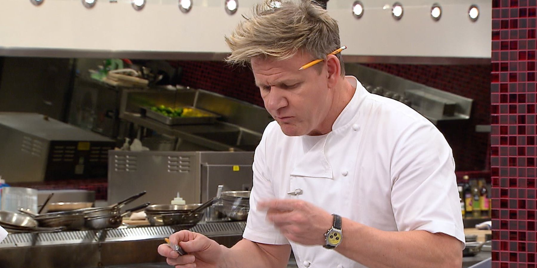 Hell’s Kitchen Season 11 What Happened To The Competitors After The Show? ennews Blog