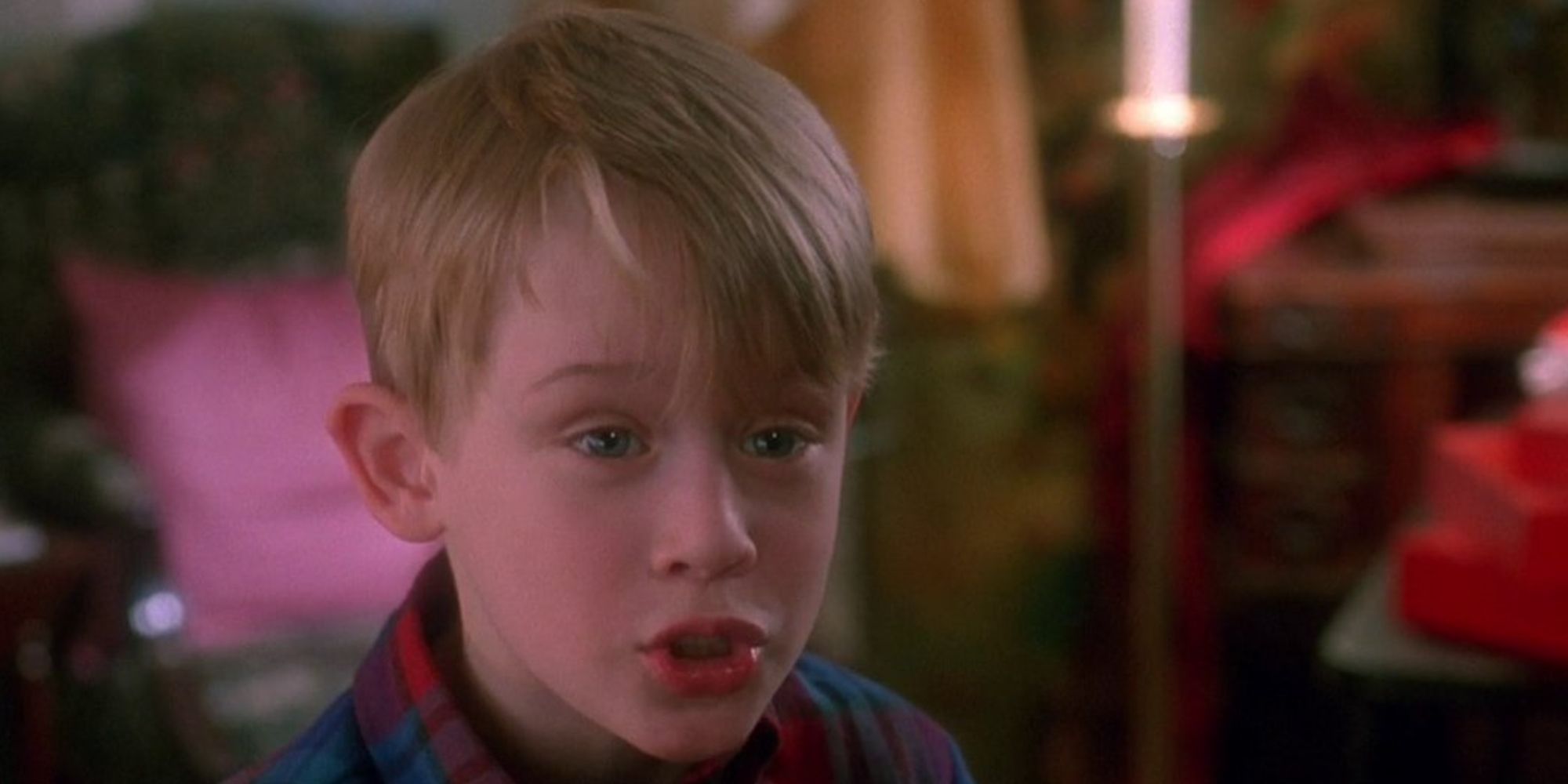 20 Best Home Alone Quotes (All Movies)