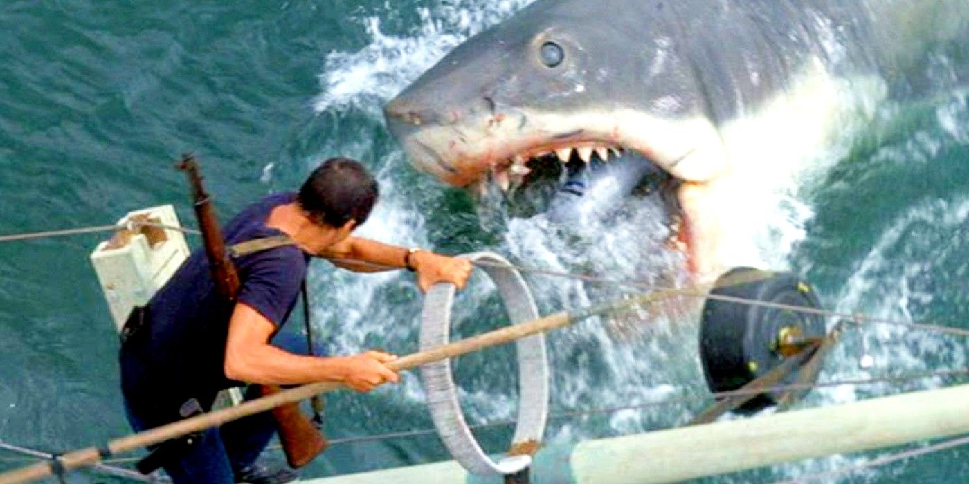 Martin Brody facing off against Jaws the shark