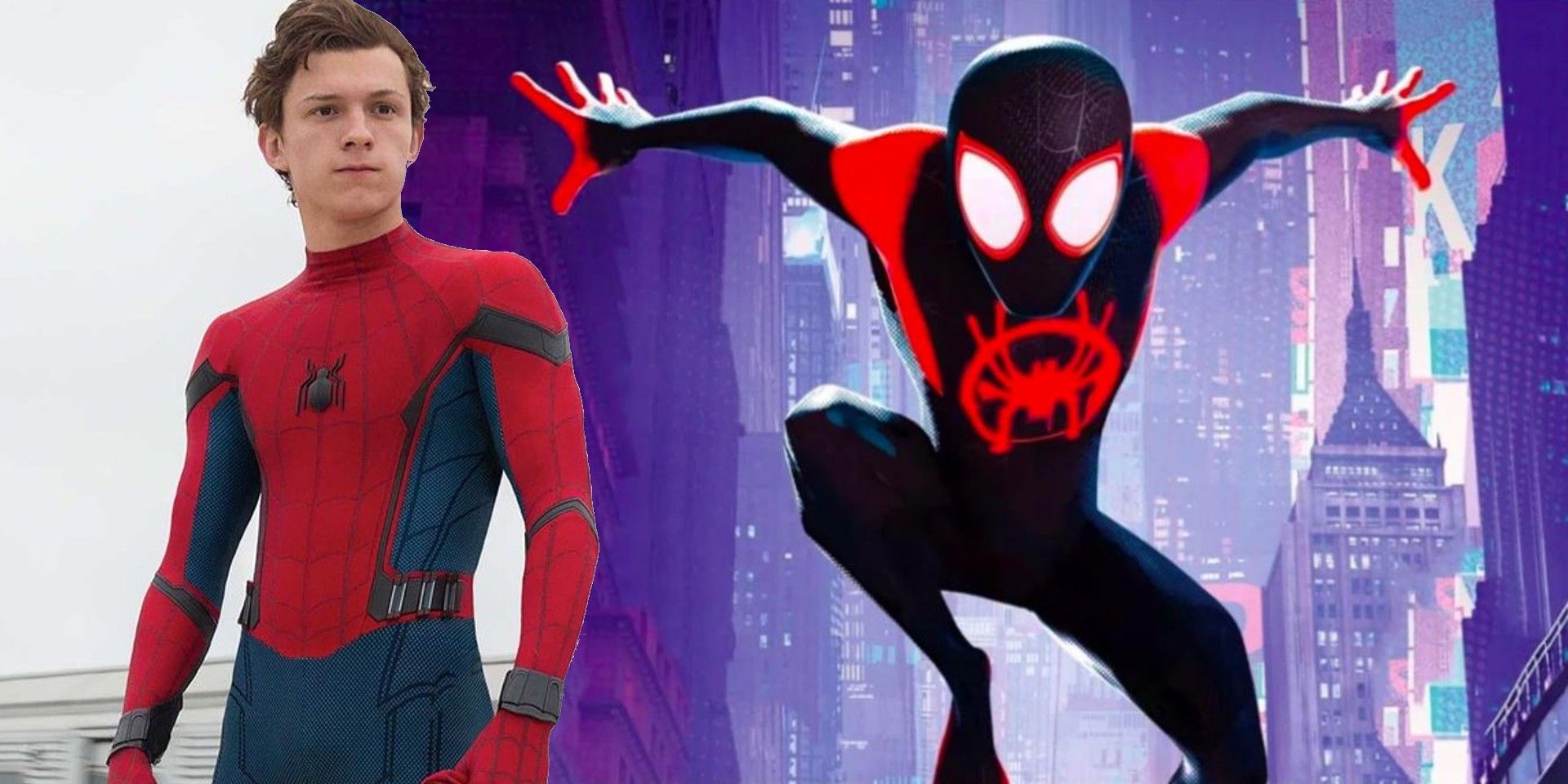 Miles Morales Has Already Made MCU Debut in Tom Holland's Spider-Man: No  Way Home, Marvel