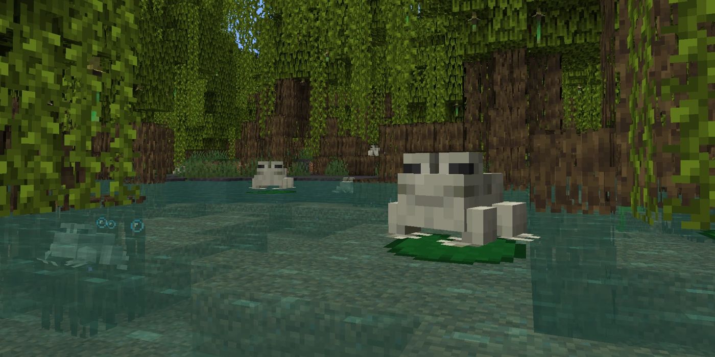 A couple of frogs sitting on lilypads in a mangrove swamp in Minecraft