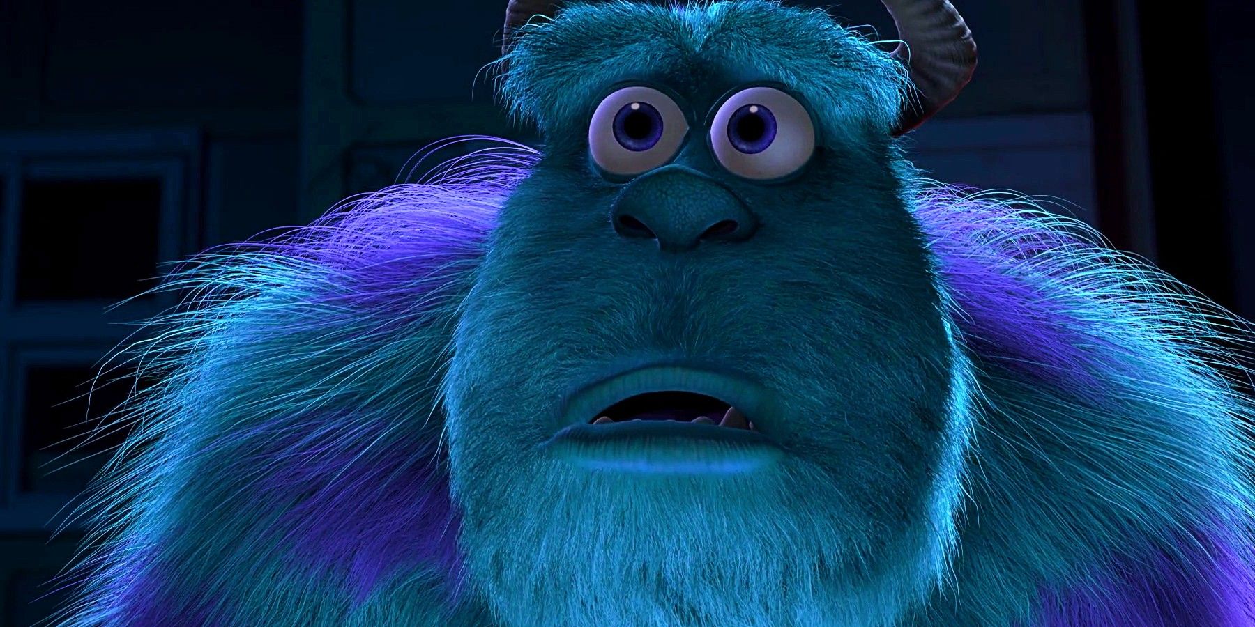 Monsters Inc Sully