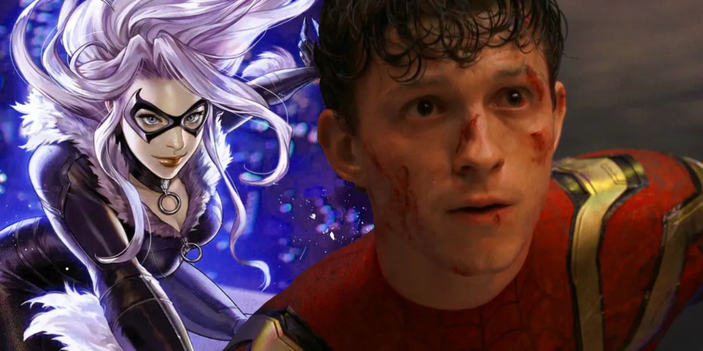 A collaged image of Tom Holland's Spider-Man and an illustration of the Black Cat.