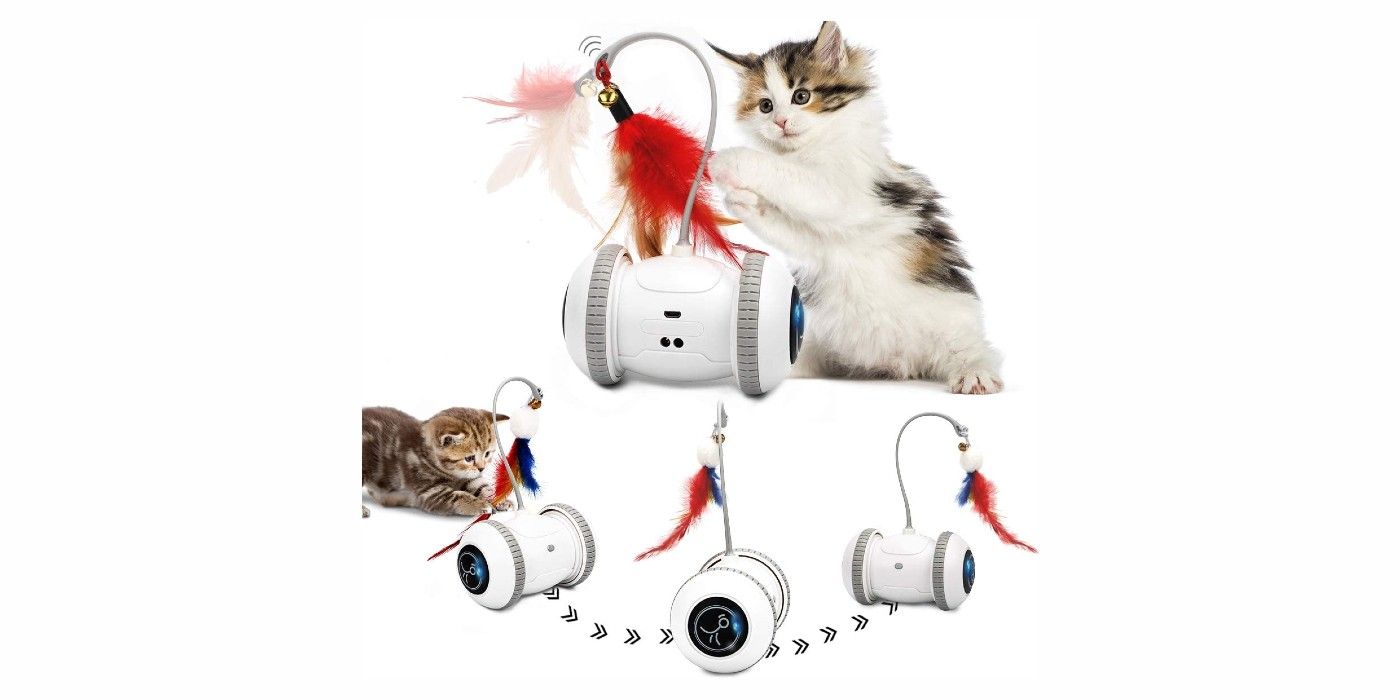 Nueplay Interactive Cat Exercise Robot on Amazon