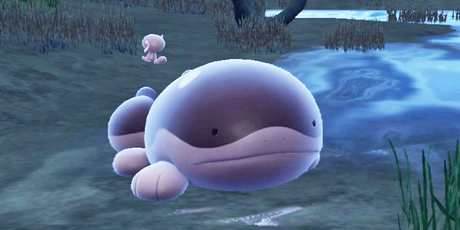 An image of a Clodsire, Wooper's Paldean evolution in Pokémon Scarlet and Violet.