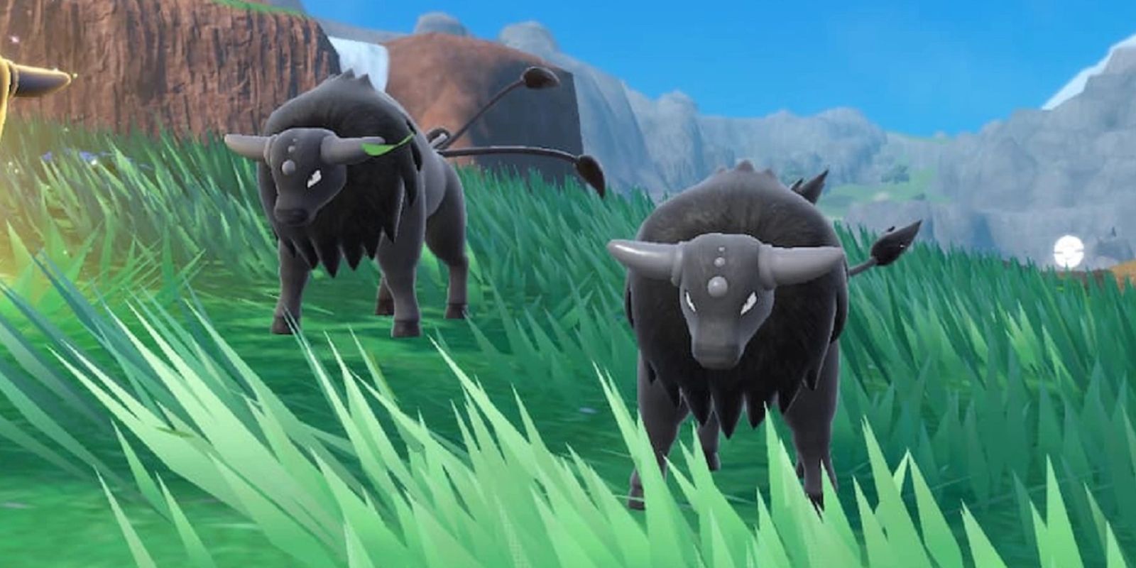 Dois Tauros, Pokémon que se assemelham a touros do mundo real, parados em um campo gramado com uma cachoeira ao longe.