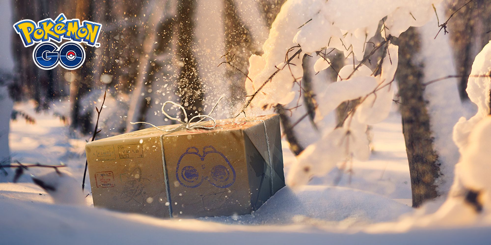 Une boîte enveloppée assise dans la neige, avec le logo Pokémon GO dans le coin supérieur gauche de l'image.