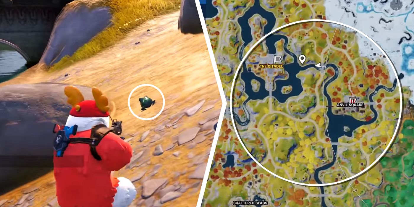 Possible Map Location for Frog Encounter in Fortnite