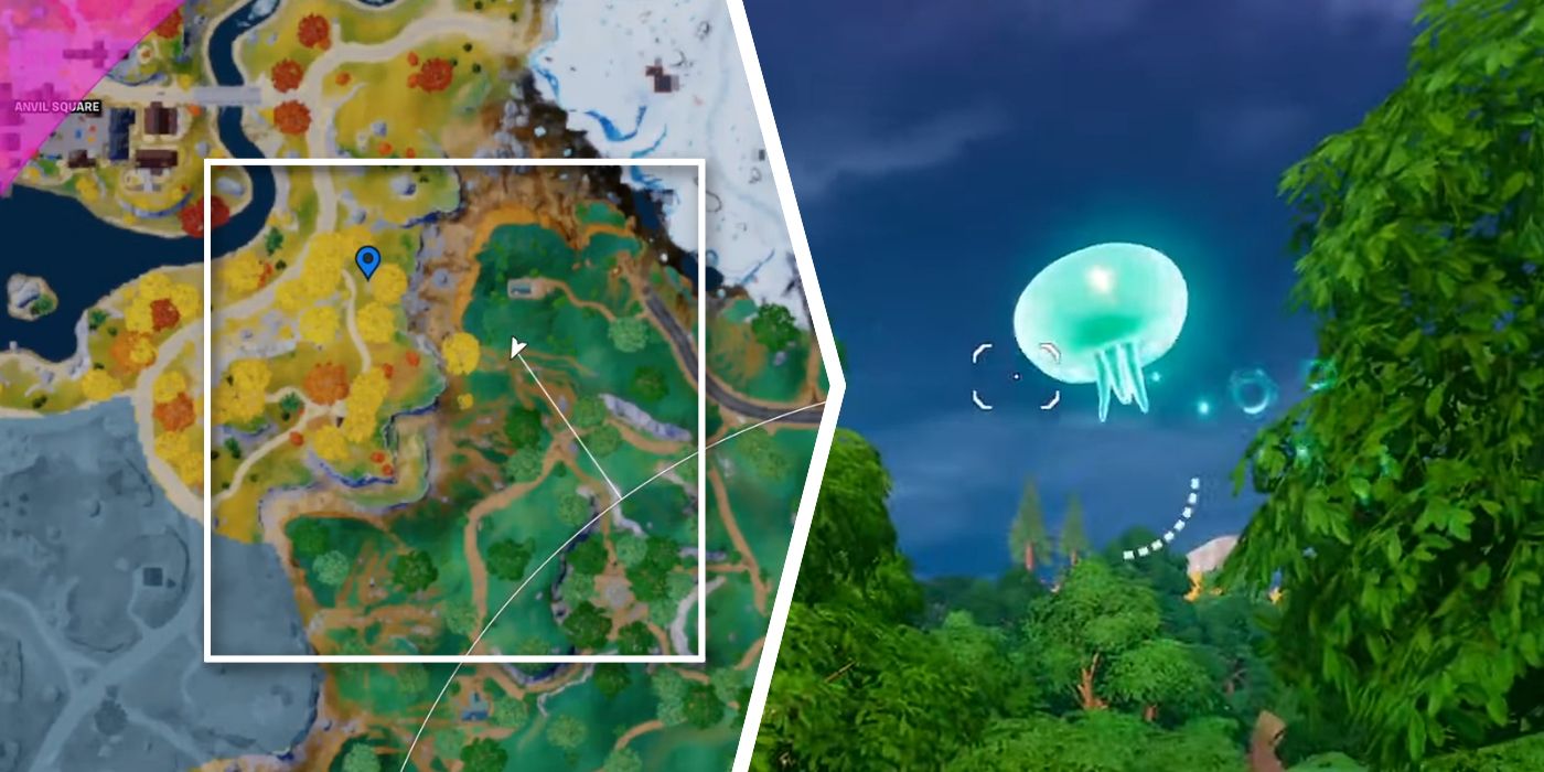 Possible Map Location for Sky Jellies in Fortnite