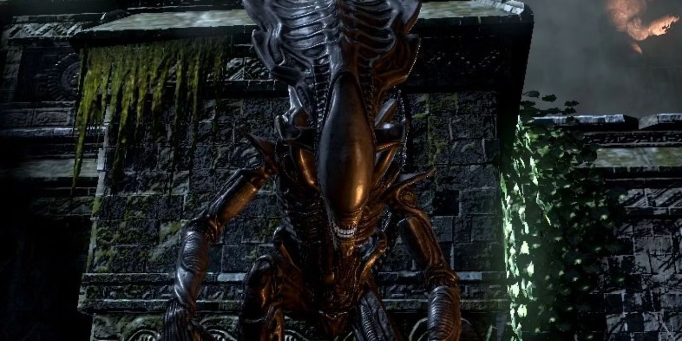 Every Type Of Xenomorph In The Alien Franchise Explained