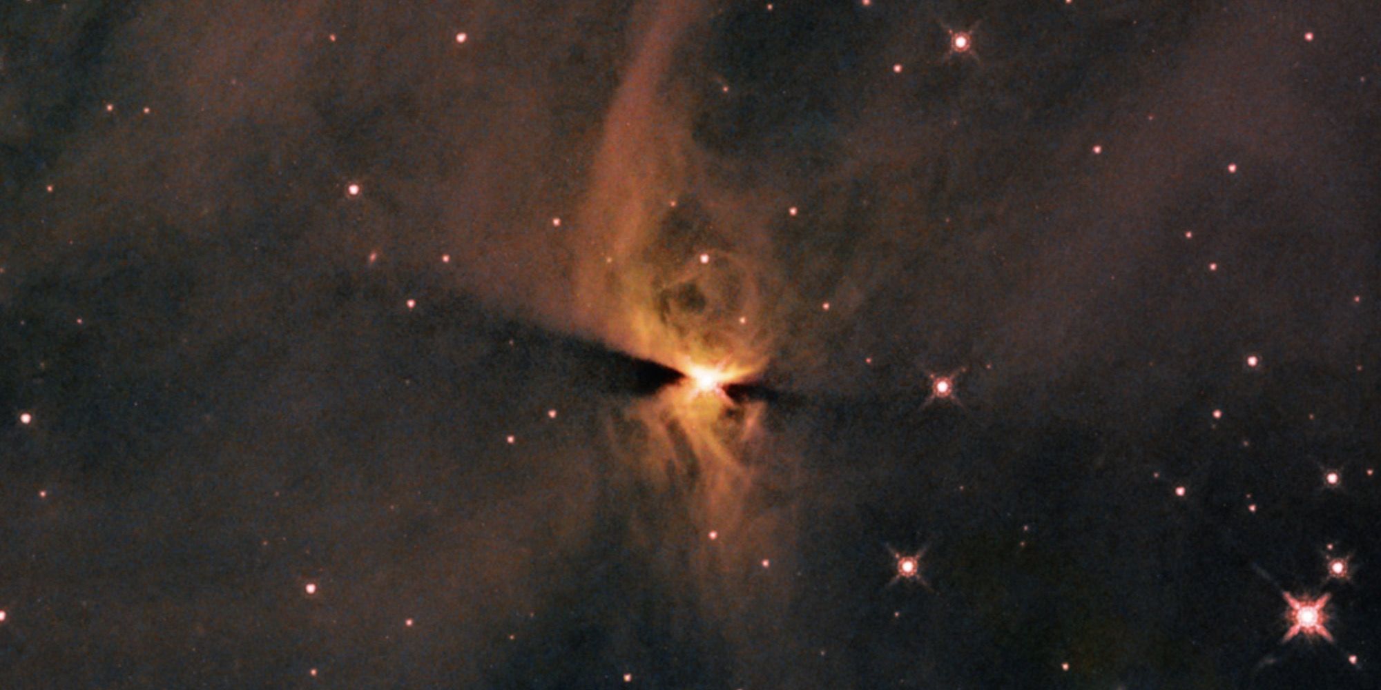 Hubble's sharp eye captures a protostar designated J1672835.29-763111.64 in the reflection nebula IC 2631.