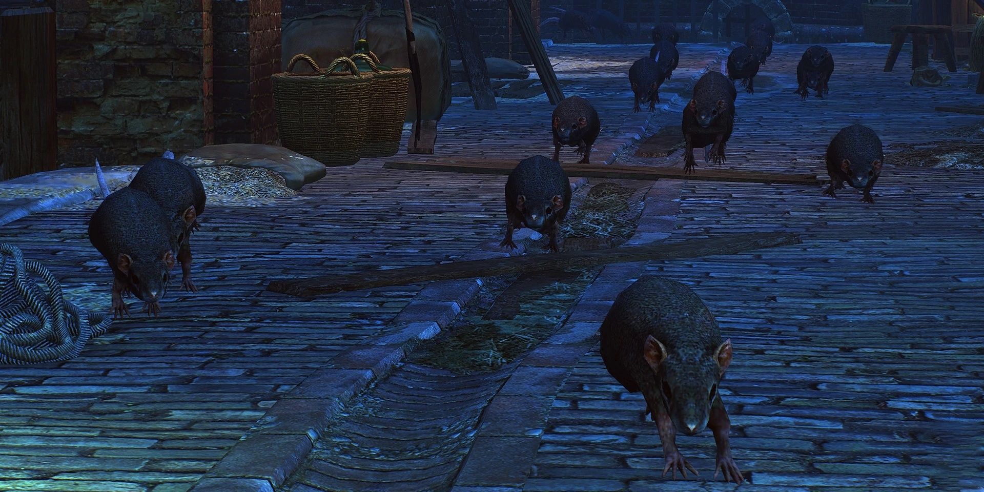 Ratos correndo pela rua em The Witcher 3