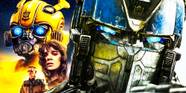 Bumblebee Transformer 2022