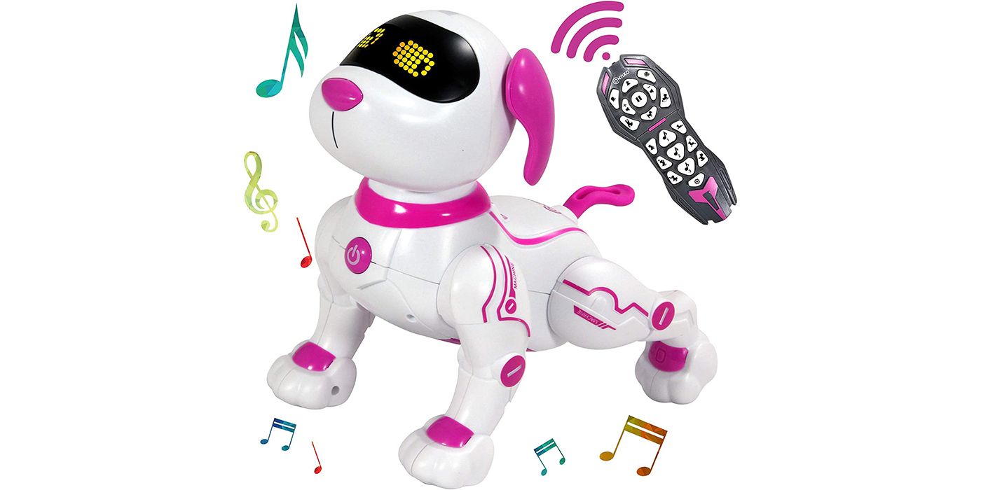 robot dog