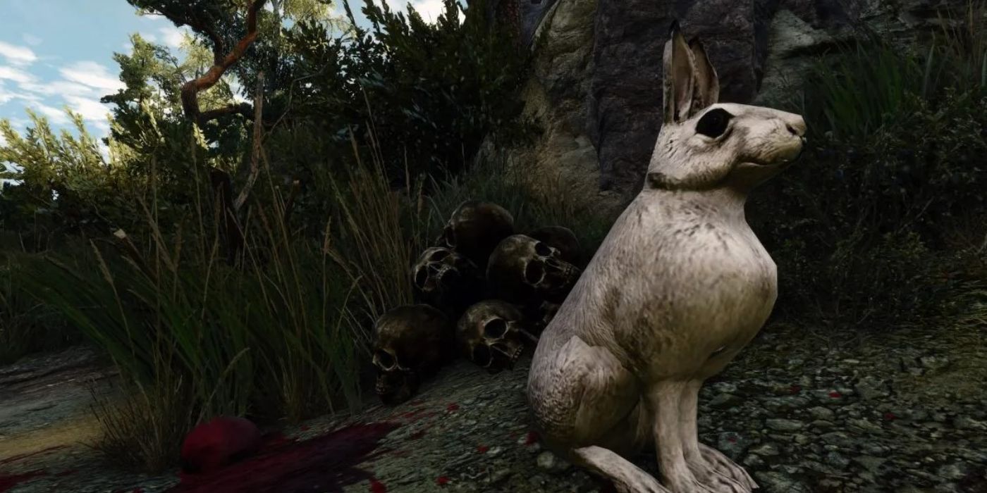 L'œuf de Pâques Caerbannog Bunny de The Witcher 3 Next Gen Update.
