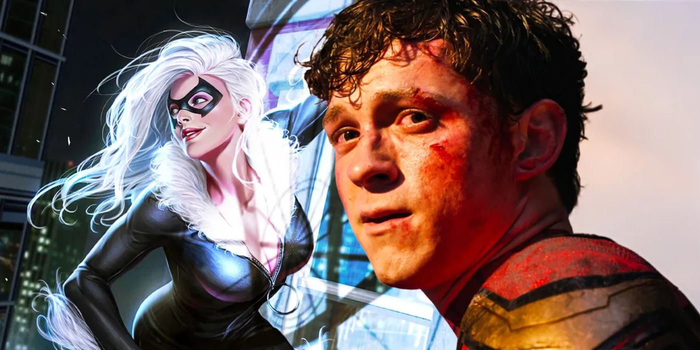 Spider-Man superimposed over an illustration of Black Cat.