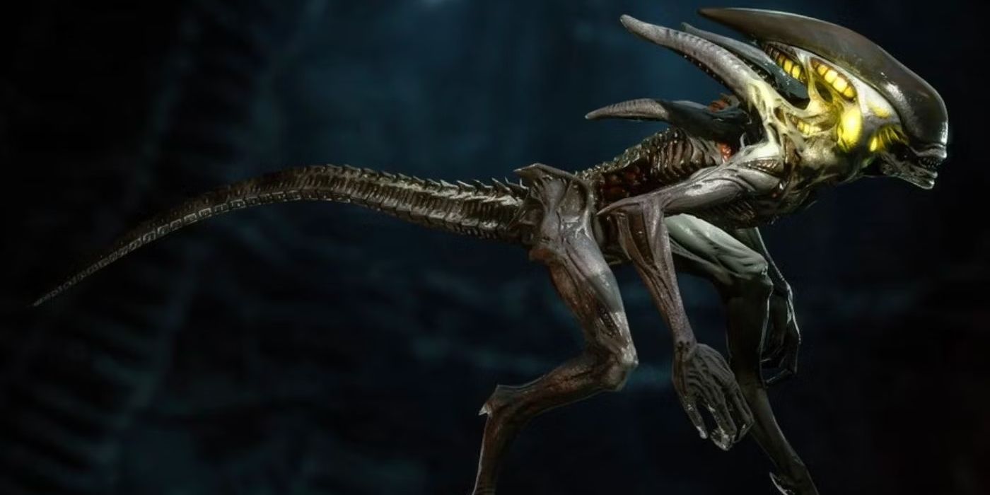 Every Type Of Xenomorph In The Alien Franchise Explained