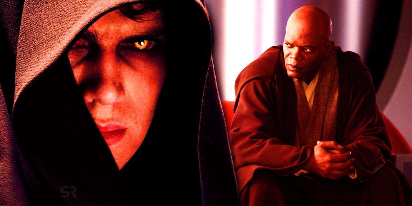 Anakin Skywalker and Mace Windu