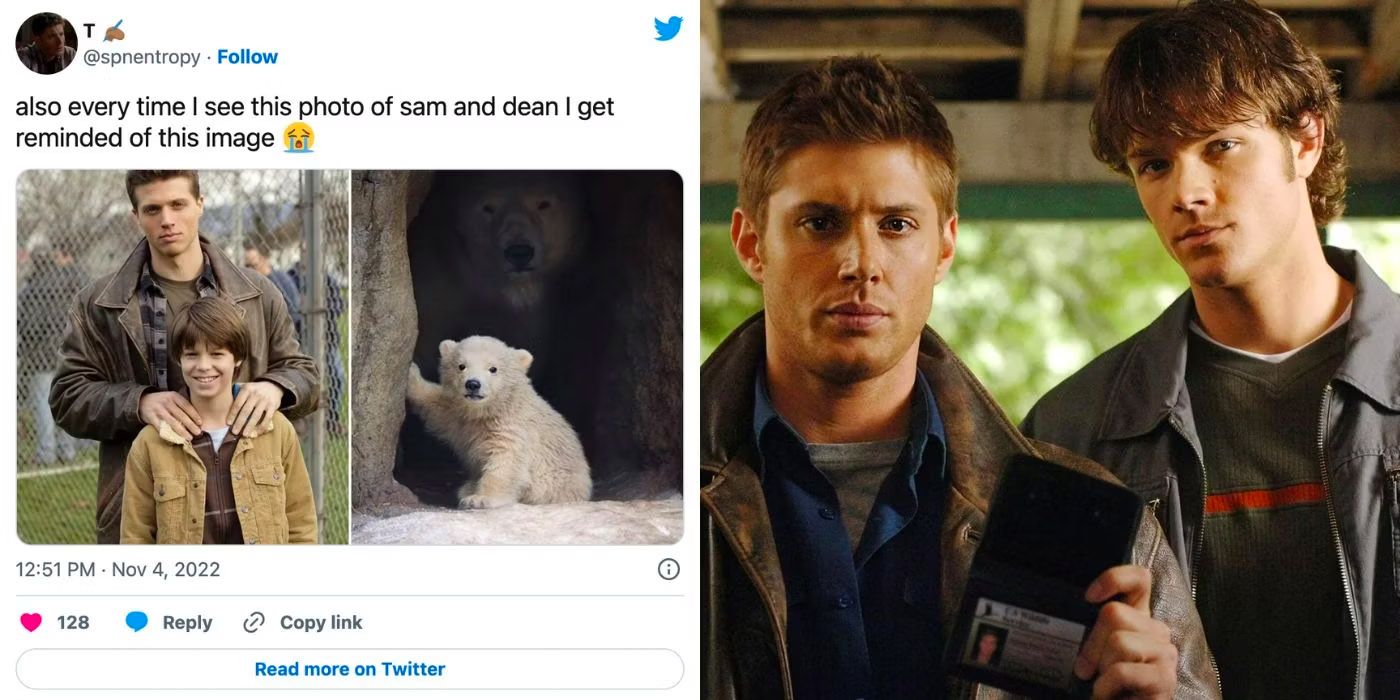 Supernatural Sam and Dean tweets
