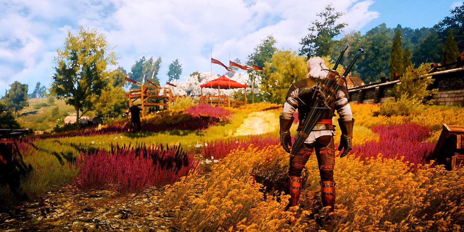 Best Locations To Farm Arenaria in The Witcher 3