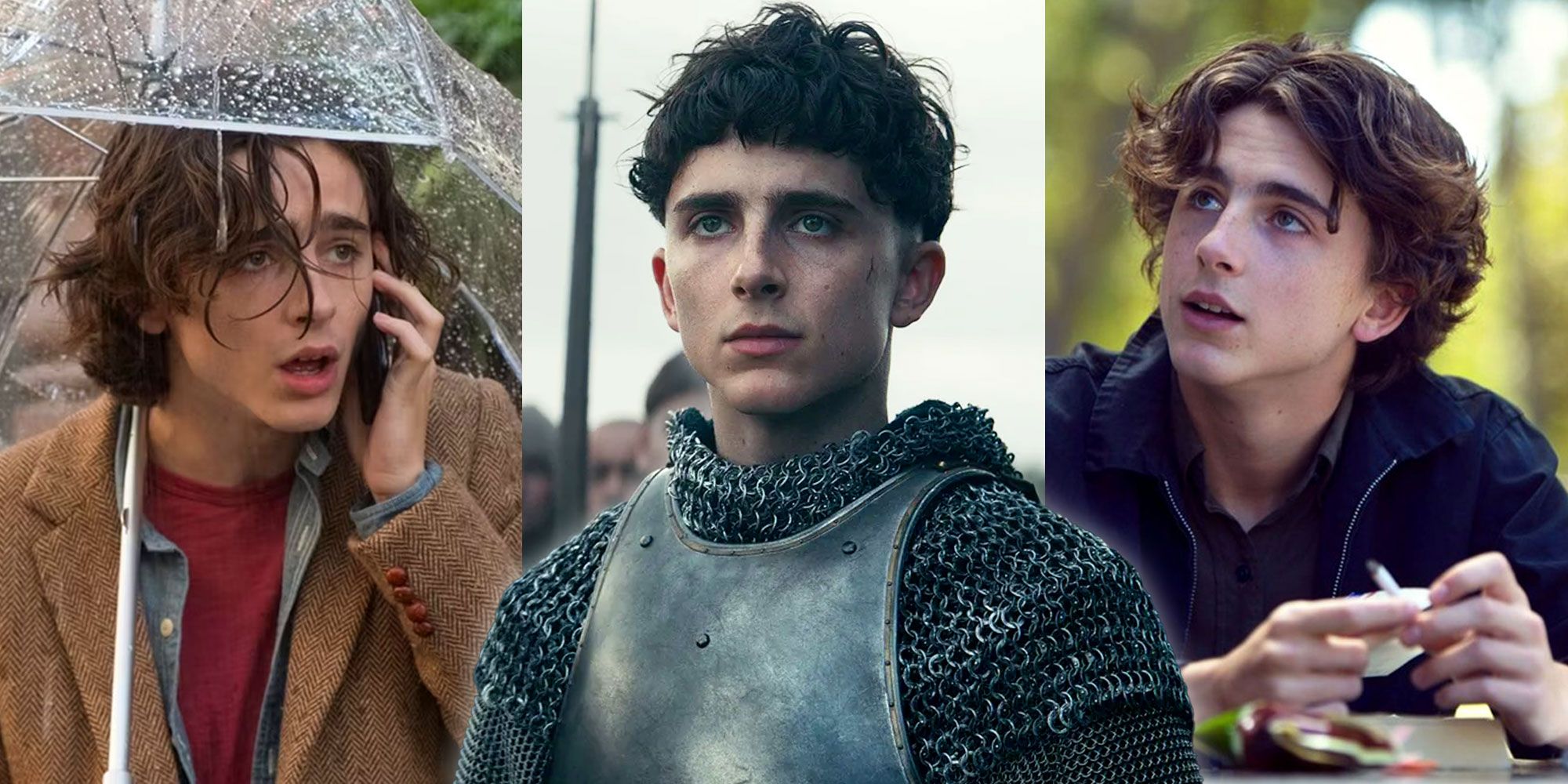 Split image of Timothée Chalamet in Rainy Day in New York, The King, and Lady Bird