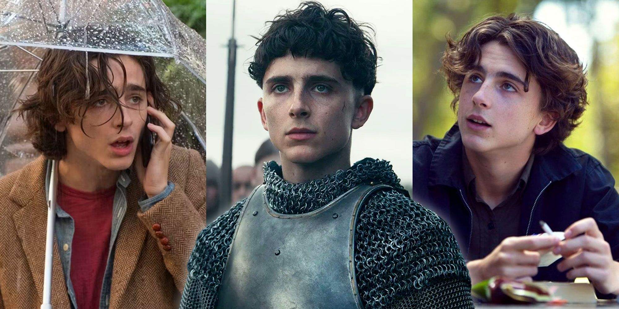 Timothée Chalamet's 15 Best Movies (According to IMDb)