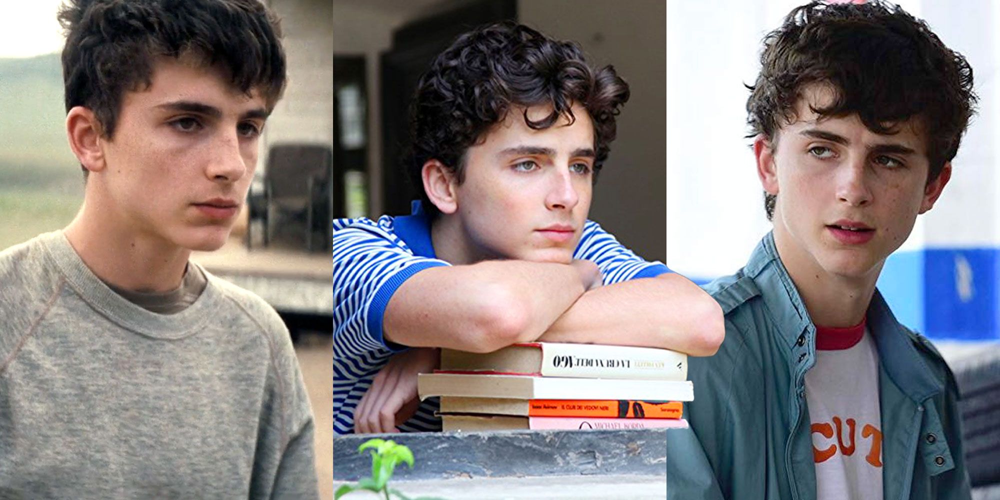 Split image of Timothée-Chalamet in Interstellar, Call Me By Your Name, and Hot Summer Nights