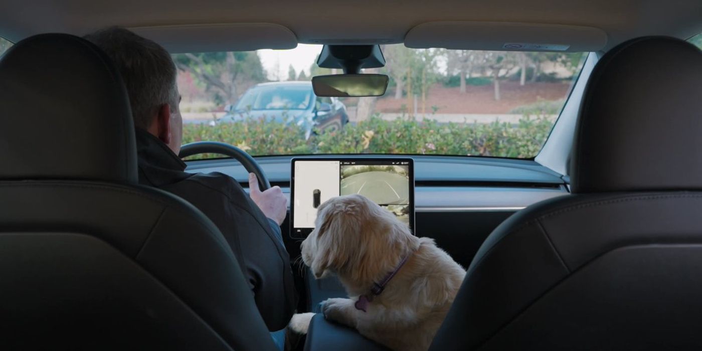 Image of a driver inside a Tesla with a dog in the passenger&rsquo;s seat