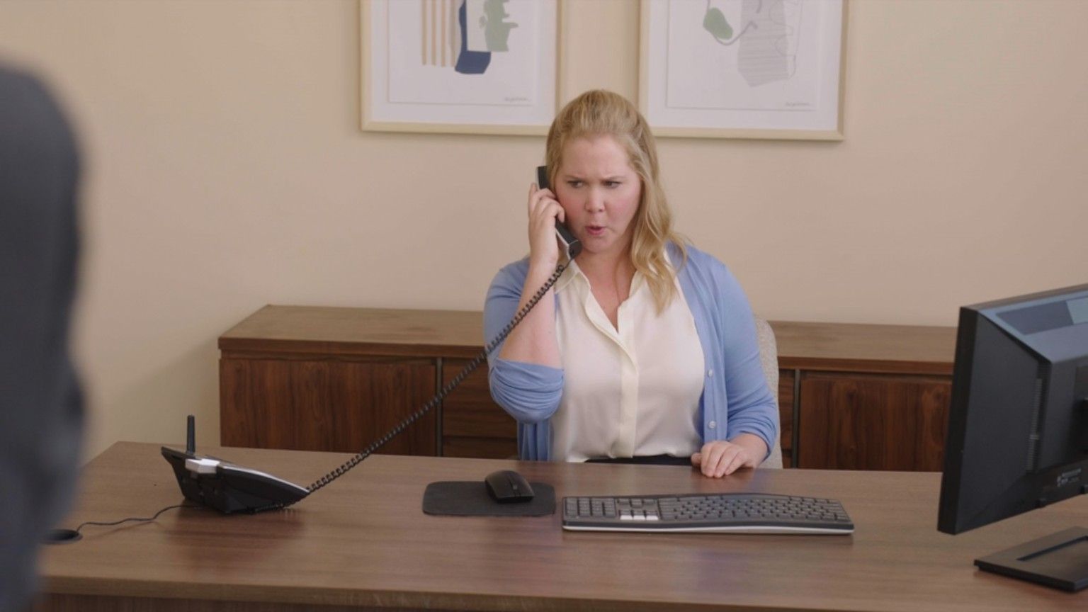 Where To Watch Inside Amy Schumer