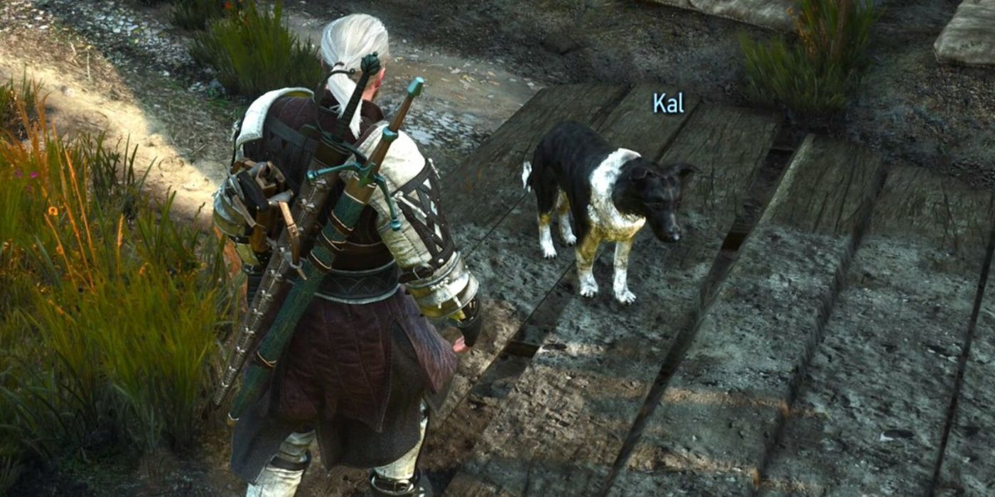 Geralt avec Kal, le chien d'Henry Cavill de la mise à jour nouvelle génération de The Witcher 3.