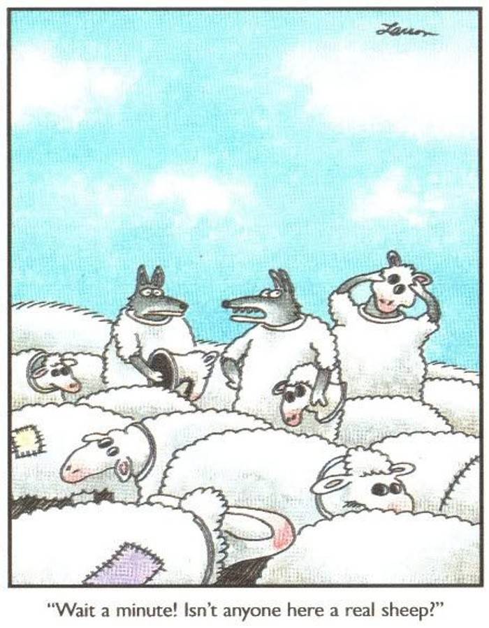 wolf-and-sheep-far-side-cartoon.jpg