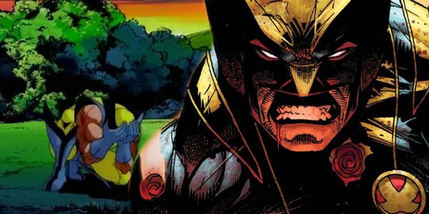 A sad Wolverine behind an angry Wolverine.