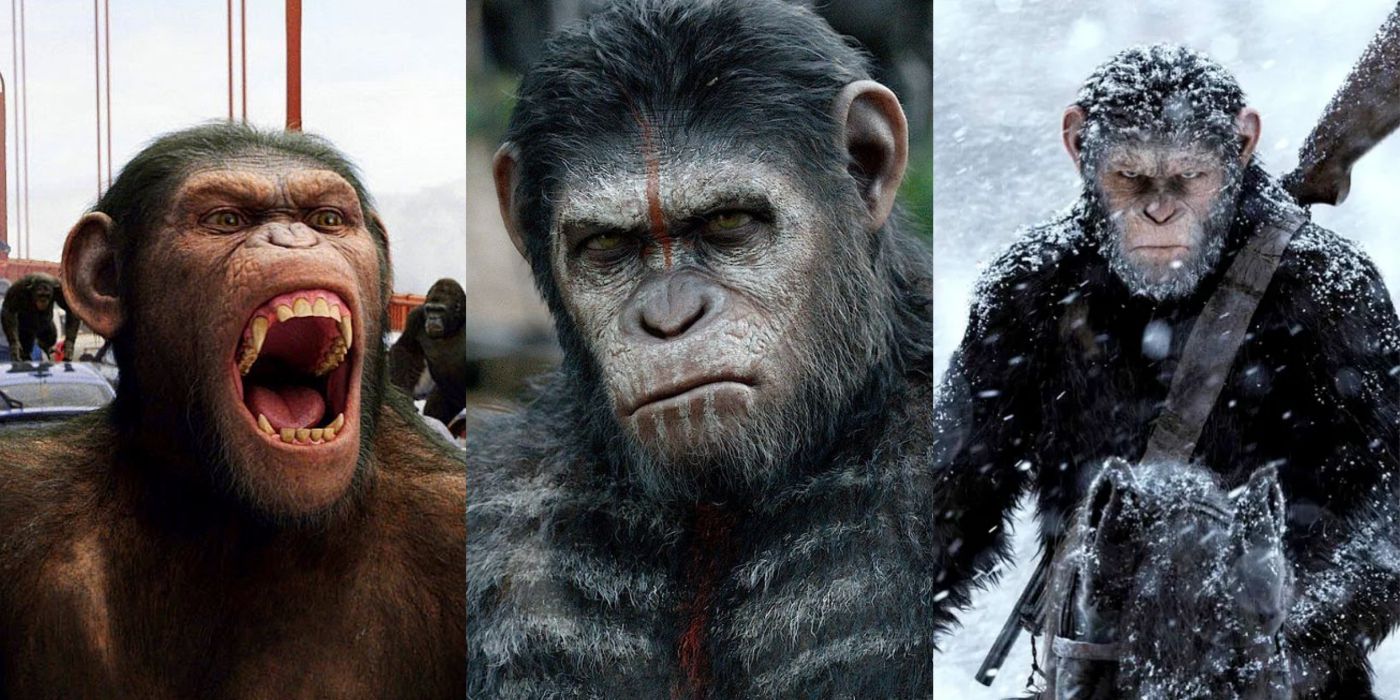 A split screen or Rise, Dawn, and War of the Panet of the Apes.