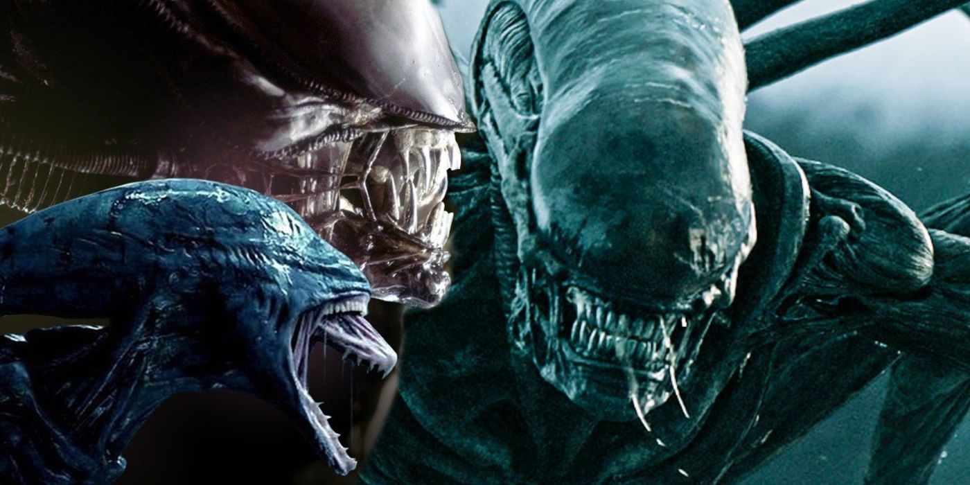 Alien: all different types of Xenomorphs together.