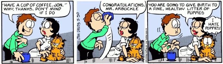 Uma imagem de uma história em quadrinhos do Garfield mostrando Jon e Garfield sabendo que terão filhotes