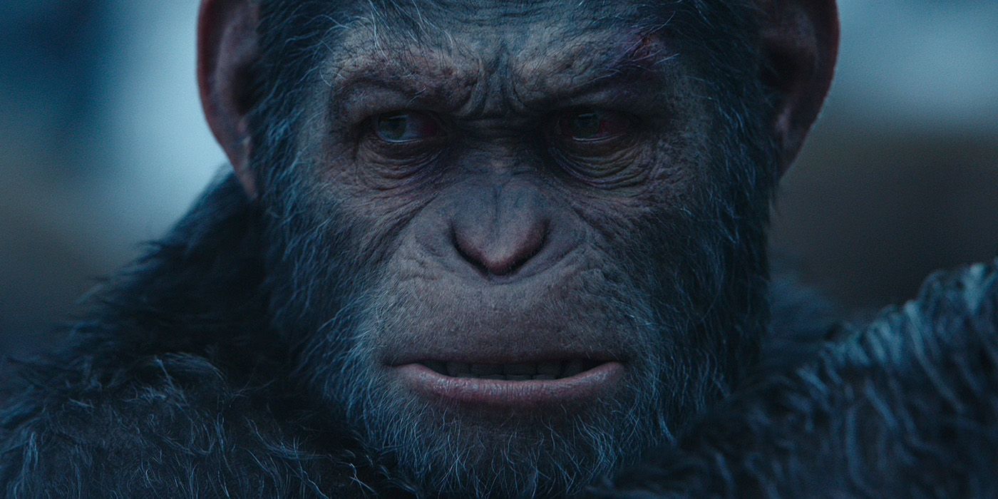 ape in kingdom of the planet of the apes