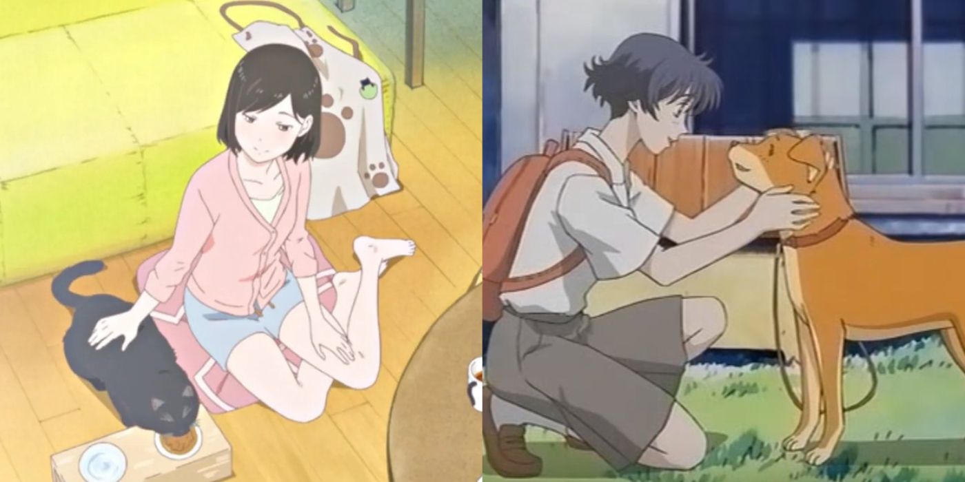 10 Best Anime About Having A Pet