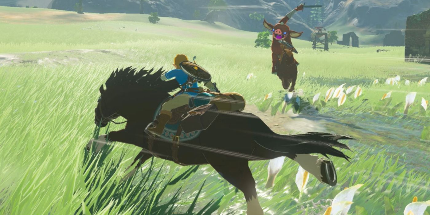 Breath of the Wild gameplay featuring Link fighting a Bokoblin on horseback.