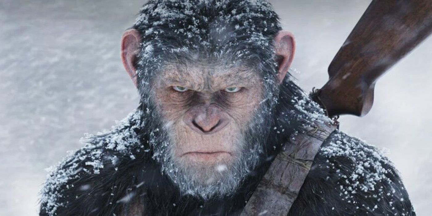 Caesar in the snow in War for the Planet of the Apes