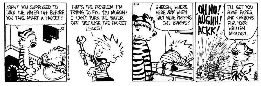 Calvin e Hobbes 10 de agosto de 1988