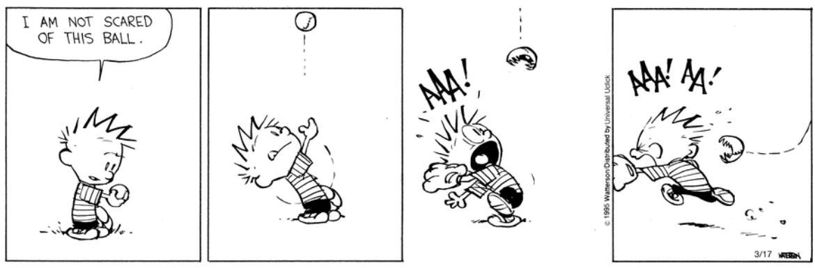 Calvin and Hobbes Baseball