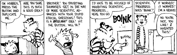 Calvin and Hobbes Duplicator