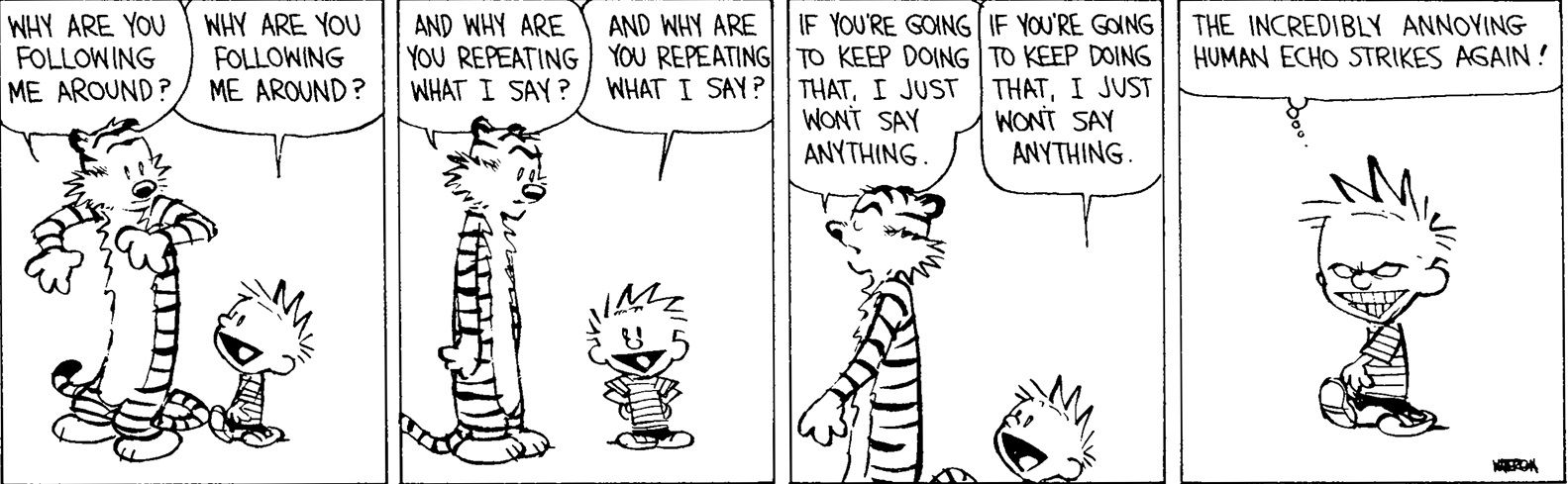 Calvin e Hobbes incrivelmente irritante eco humano