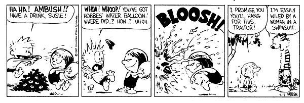 Calvin And Hobbes 10 Funniest Strips About Susie