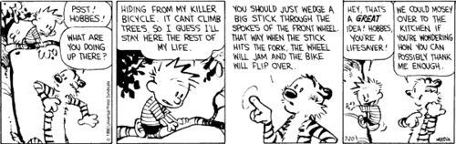 Calvin e Hobbes 20 de julho de 1990